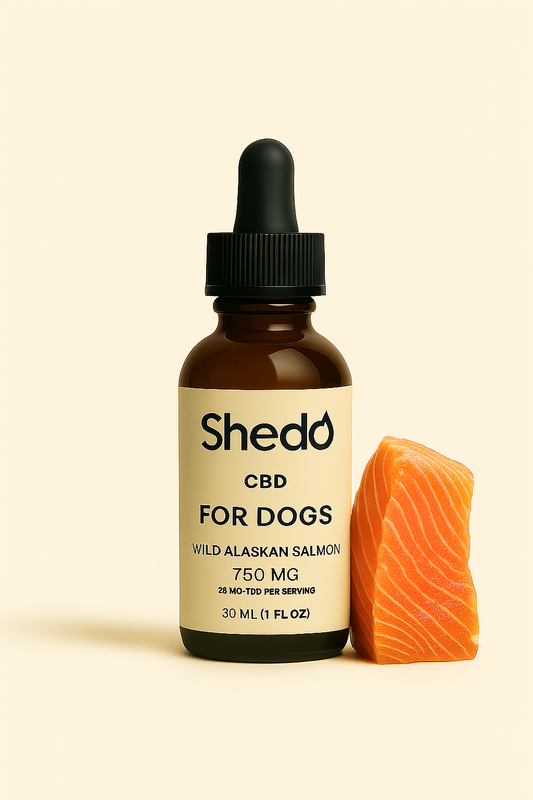 CBD Extract For Dogs - Wild Alaskan Salmon